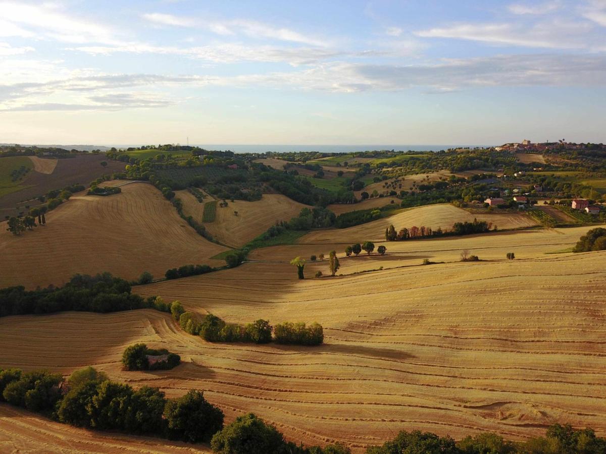 La Meriggia Agriturismo- Ampio Appartamento Con Terrazza Esclusiva Ancona Dış mekan fotoğraf