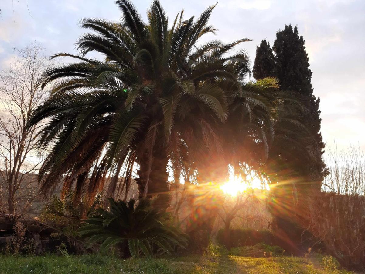 La Meriggia Agriturismo- Ampio Appartamento Con Terrazza Esclusiva Ancona Dış mekan fotoğraf