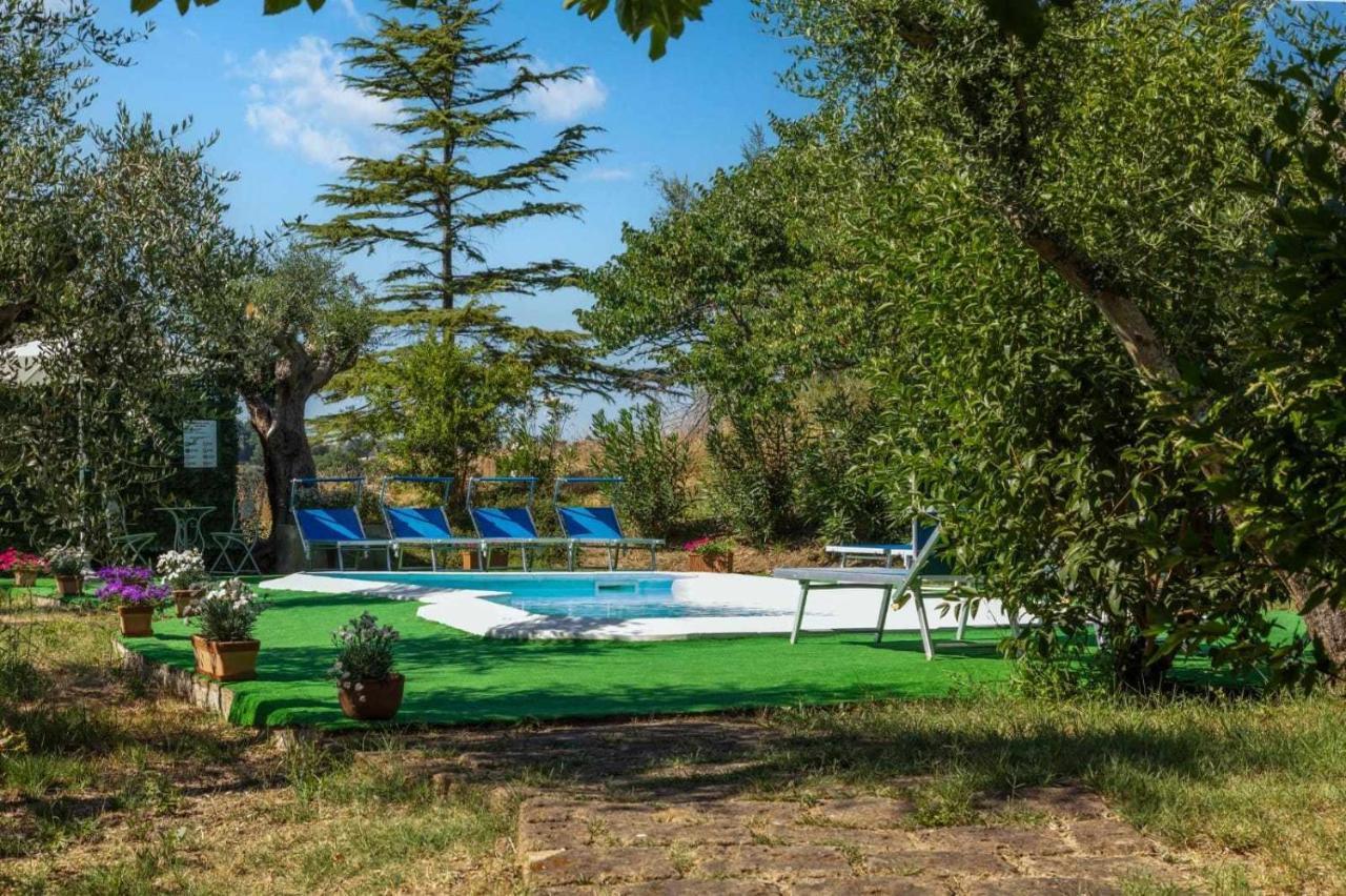 La Meriggia Agriturismo- Ampio Appartamento Con Terrazza Esclusiva Ancona Dış mekan fotoğraf